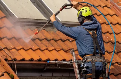 Démoussage et hydrofuge de toiture à Ébréon